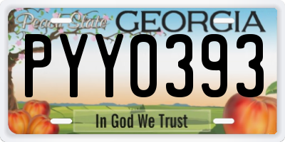 GA license plate PYY0393
