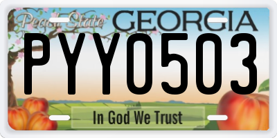 GA license plate PYY0503