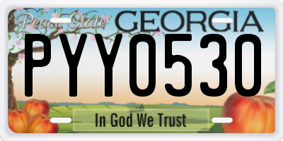GA license plate PYY0530