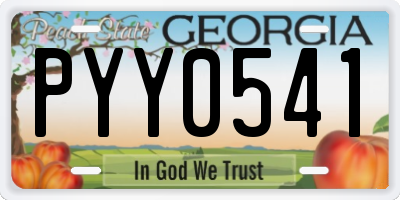 GA license plate PYY0541