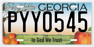 GA license plate PYY0545