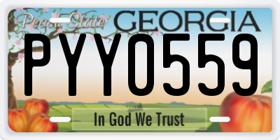GA license plate PYY0559