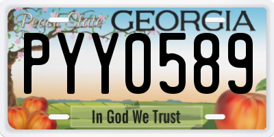 GA license plate PYY0589