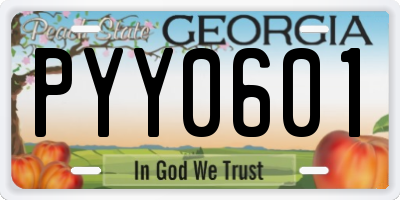 GA license plate PYY0601