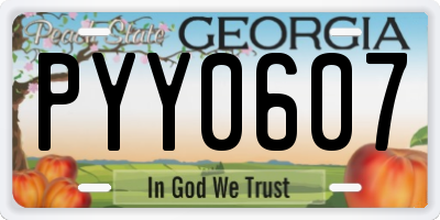 GA license plate PYY0607