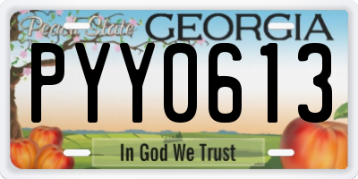 GA license plate PYY0613