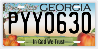GA license plate PYY0630