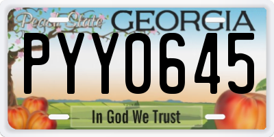 GA license plate PYY0645