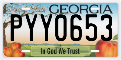 GA license plate PYY0653