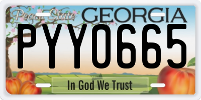 GA license plate PYY0665