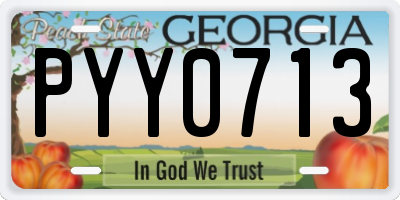 GA license plate PYY0713