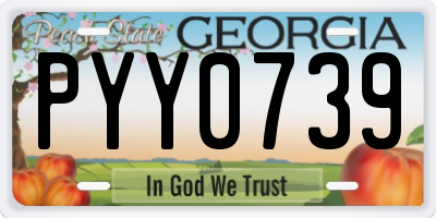 GA license plate PYY0739