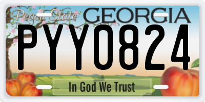 GA license plate PYY0824