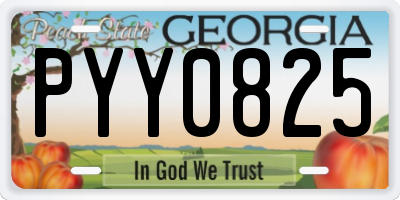 GA license plate PYY0825