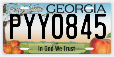 GA license plate PYY0845
