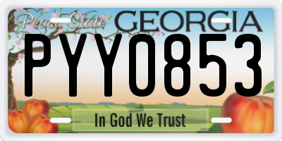 GA license plate PYY0853