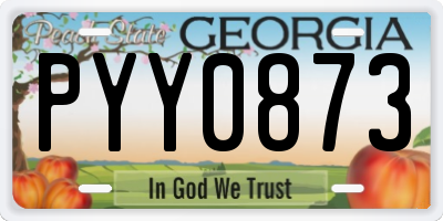 GA license plate PYY0873