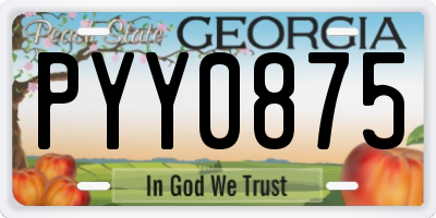 GA license plate PYY0875