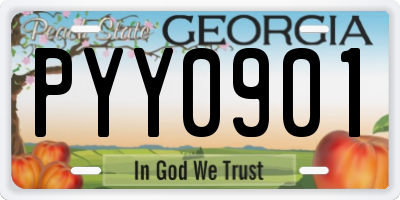 GA license plate PYY0901
