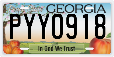 GA license plate PYY0918