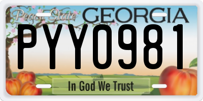 GA license plate PYY0981