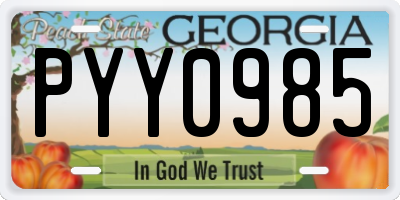 GA license plate PYY0985