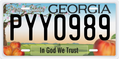 GA license plate PYY0989