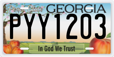 GA license plate PYY1203