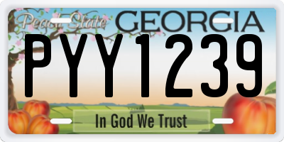 GA license plate PYY1239