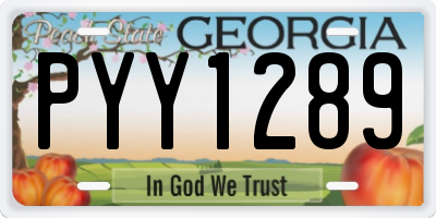 GA license plate PYY1289