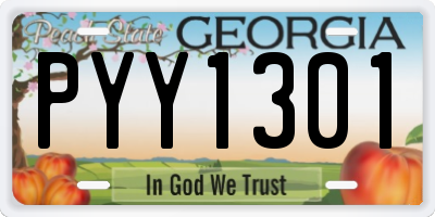 GA license plate PYY1301