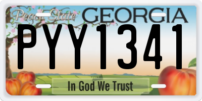 GA license plate PYY1341