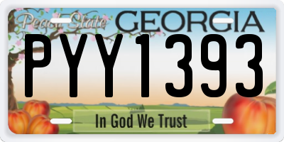 GA license plate PYY1393