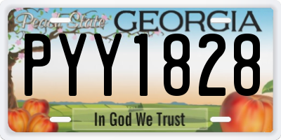 GA license plate PYY1828