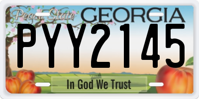 GA license plate PYY2145