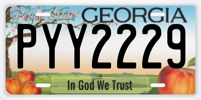 GA license plate PYY2229