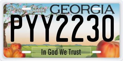 GA license plate PYY2230