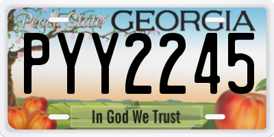 GA license plate PYY2245