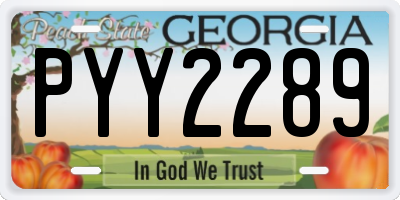 GA license plate PYY2289