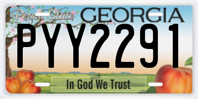 GA license plate PYY2291