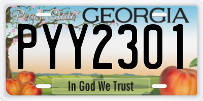 GA license plate PYY2301