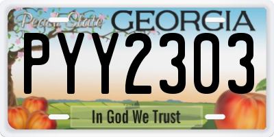GA license plate PYY2303