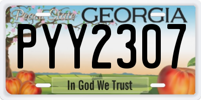 GA license plate PYY2307