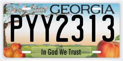 GA license plate PYY2313