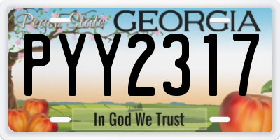GA license plate PYY2317
