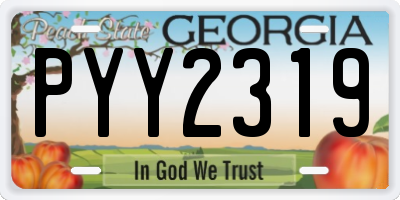 GA license plate PYY2319