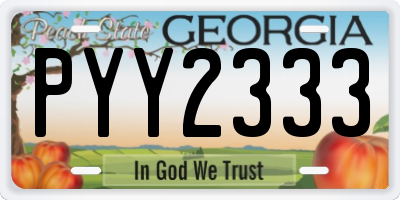 GA license plate PYY2333