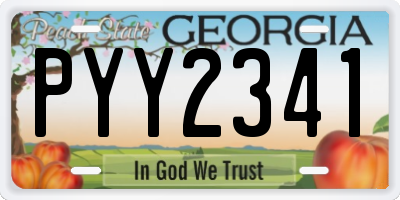 GA license plate PYY2341