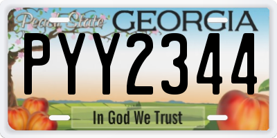 GA license plate PYY2344