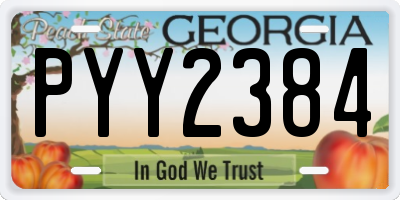GA license plate PYY2384